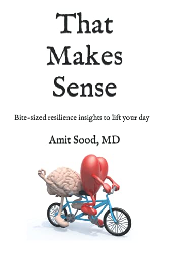 Imagen de archivo de That Makes Sense: Bite-sized resilience insights to lift your day a la venta por GoodwillNI