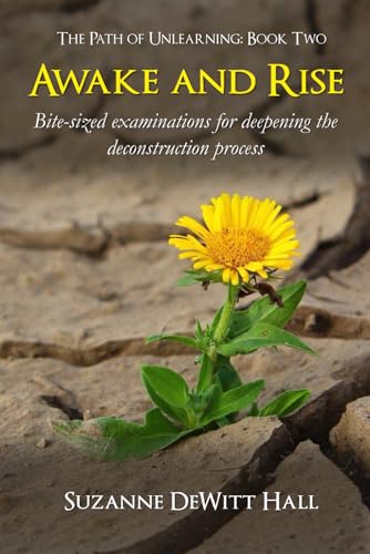 Stock image for Awake and Rise: Bite-sized examinations for deepening the deconstruction process (The Path of Unlearning) for sale by Books Unplugged
