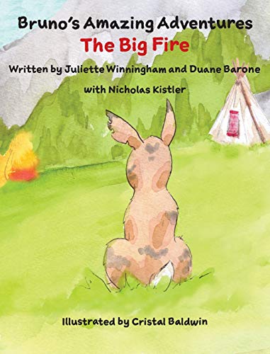 Stock image for The Big Fire (Brunos Amazing Adventures) for sale by Marissa's Books and Gifts