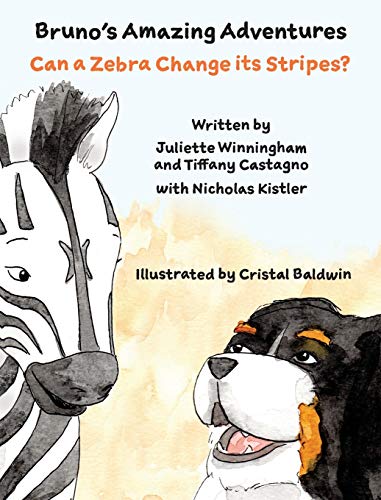 9781734770186: Can a Zebra Change its Stripes?