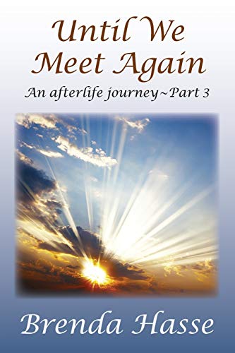 Stock image for Until We Meet Again: An afterlife journey - Part 3 for sale by Lucky's Textbooks