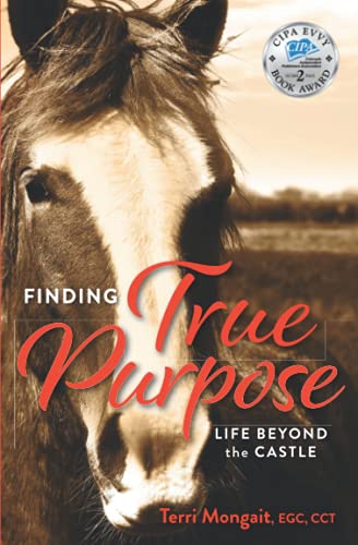 Beispielbild fr Finding True Purpose: Life Beyond The Castle zum Verkauf von Books Unplugged