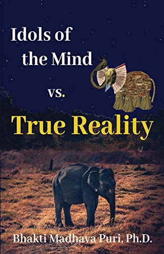 Beispielbild fr Idols of the Mind vs. True Reality zum Verkauf von GreatBookPrices