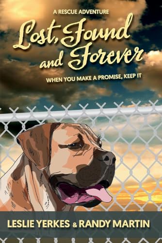 Stock image for Lost, Found, and Forever: When you make a promise, keep it for sale by SecondSale