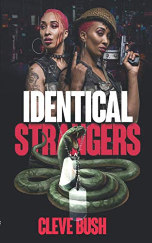 Imagen de archivo de Identical Strangers a la venta por Lucky's Textbooks