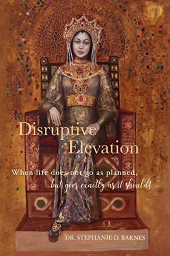 Imagen de archivo de Disruptive Elevation: When life does not go as planned.but goes exactly as it should! a la venta por Omaha Library Friends