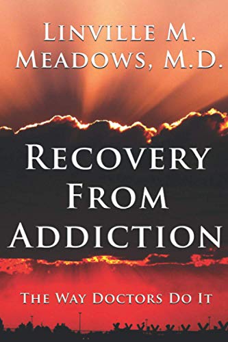 Stock image for Recovery from Addiction: The Way Doctors Do It for sale by Lucky's Textbooks