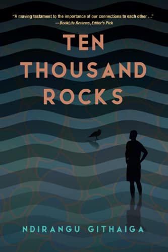 Beispielbild fr Ten Thousand Rocks zum Verkauf von ThriftBooks-Dallas