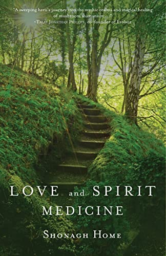 Imagen de archivo de Love and Spirit Medicine a la venta por ZBK Books