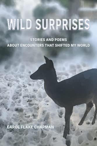 Stock image for Wild Surprises: Stories and Poems About Encounters That Shifted My World for sale by Ergodebooks