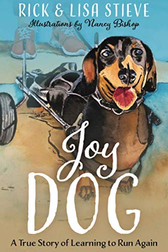 Beispielbild fr Joy Dog: A True Story of Learning to Run Again zum Verkauf von Blue Vase Books