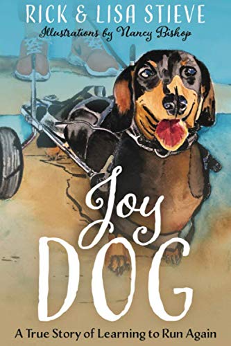 Stock image for Joy Dog: A True Story of Learning to Run Again for sale by Blue Vase Books