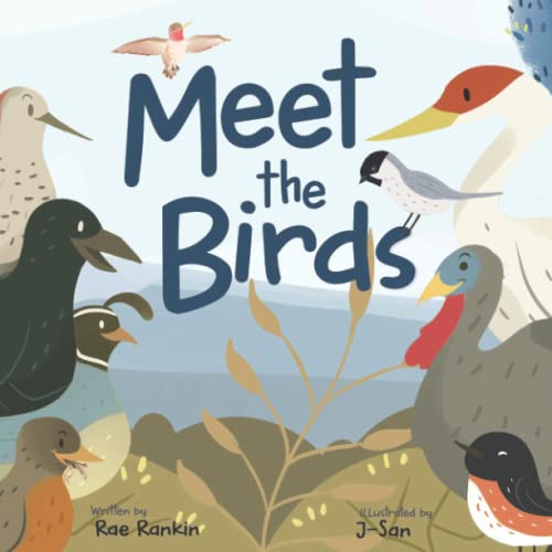 Beispielbild fr Meet the Birds zum Verkauf von GF Books, Inc.