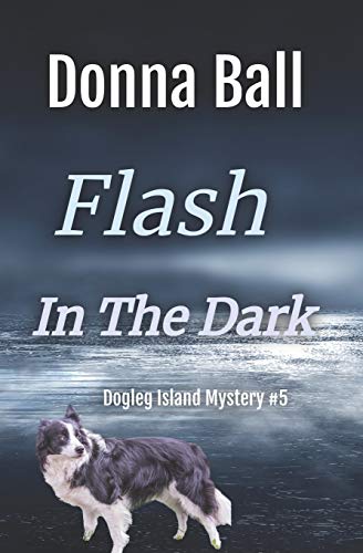 Beispielbild fr Flash in the Dark (Dogleg Island Mystery) zum Verkauf von Bug's Book Barn