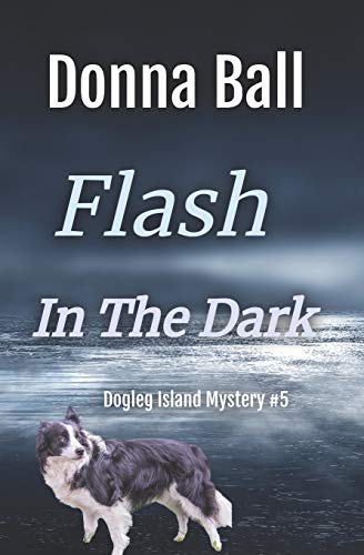 Stock image for Flash in the Dark (Dogleg Island Mystery) for sale by Bug's Book Barn
