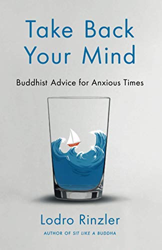 Stock image for Take Back Your Mind: Buddhist Advice for Anxious Times for sale by HPB Inc.