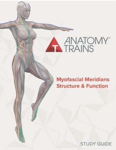 Stock image for Anatomy Trains Myofascial Meridians Structure & Function Study Guide for sale by GF Books, Inc.