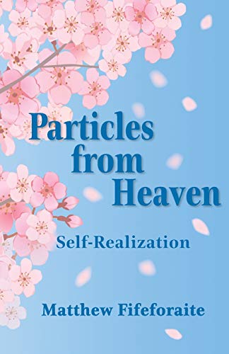 Imagen de archivo de Particles from Heaven: Self-Realization a la venta por Buchpark