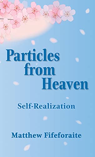 Imagen de archivo de Particles from Heaven: Self-Realization a la venta por Buchpark