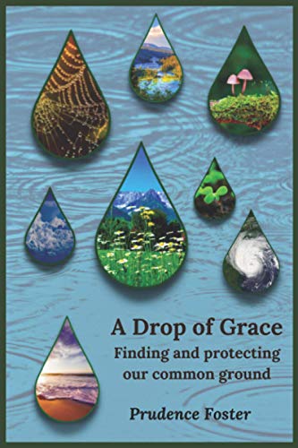 Stock image for A Drop of Grace: Finding and Protecting Our Common Ground for sale by WorldofBooks