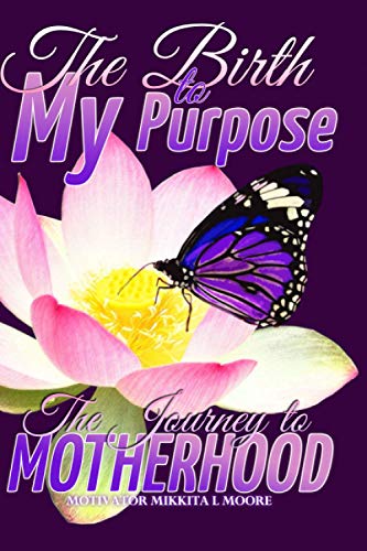 Stock image for The Birth to My Purpose: The Journey to Motherhood for sale by Lucky's Textbooks
