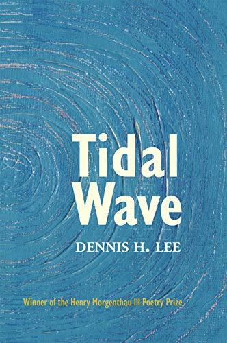 Beispielbild fr Tidal Wave zum Verkauf von Better World Books