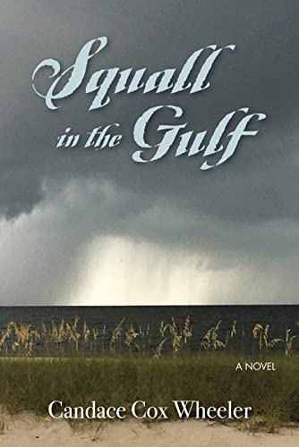 Beispielbild fr Squall in the Gulf zum Verkauf von ThriftBooks-Dallas