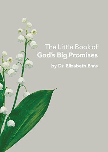 Stock image for The Little Book of God's Big Promises for sale by ThriftBooks-Atlanta