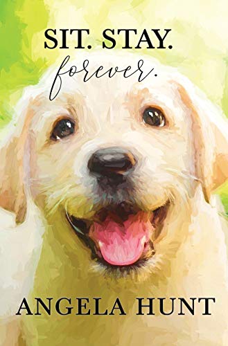 Stock image for Sit. Stay. Forever. for sale by ThriftBooks-Dallas