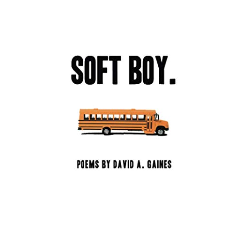 9781735612249: soft boy