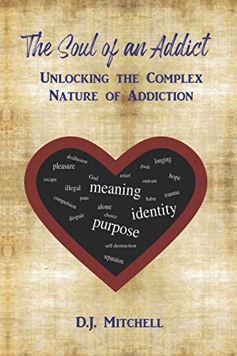 Stock image for The Soul of an Addict: Unlocking the Complex Nature of Addiction for sale by SecondSale