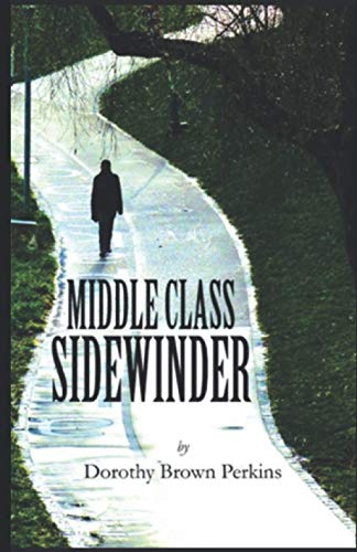 9781735707518: Middle-Class Sidewinder