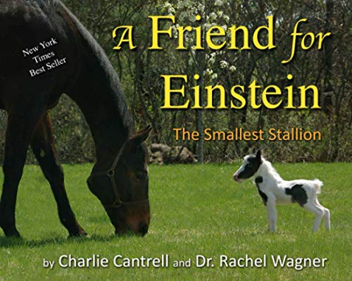 

A Friend For Einstein: The Smallest Stallion
