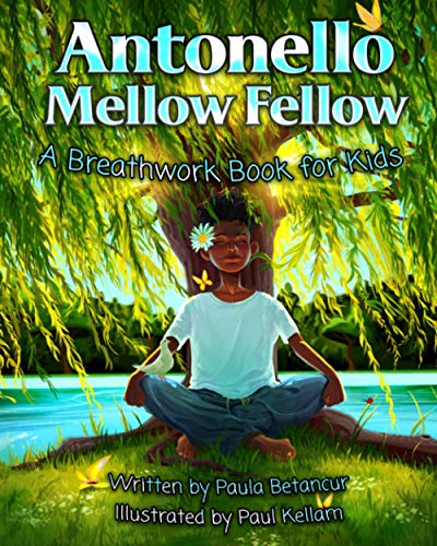 9781735844008: Antonello Mellow Fellow: A Breathwork Book for Kids