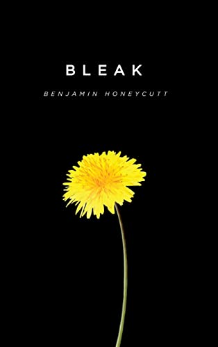 Imagen de archivo de Bleak: A Story of Bullying, Rage and Survival a la venta por Lucky's Textbooks