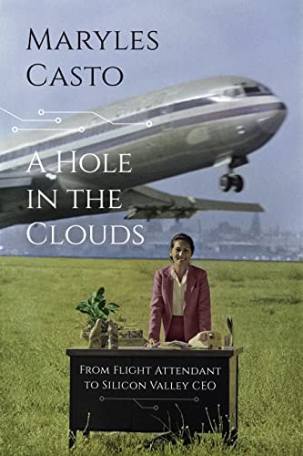Stock image for A Hole In The Clouds: From Flight Attendant to Silicon Valley CEO for sale by ThriftBooks-Atlanta