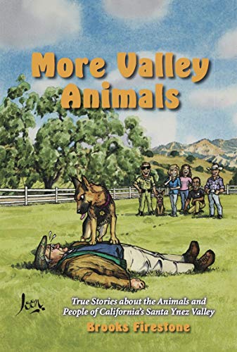 Stock image for More Valley Animals 2020 for sale by ThriftBooks-Atlanta