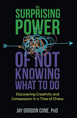 

The Surprising Power Of Not Knowing What To Do: Discovering Creativity and Compassion in a Time of Chaos