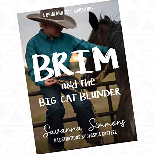 Imagen de archivo de Brim and the Big Cat Blunder a la venta por ThriftBooks-Atlanta