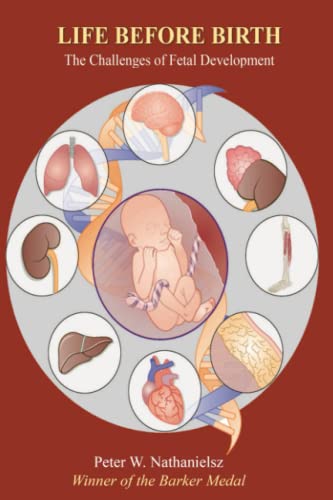 Imagen de archivo de Life Before Birth: The Challenges of Fetal Development, Second Edition a la venta por ThriftBooks-Dallas