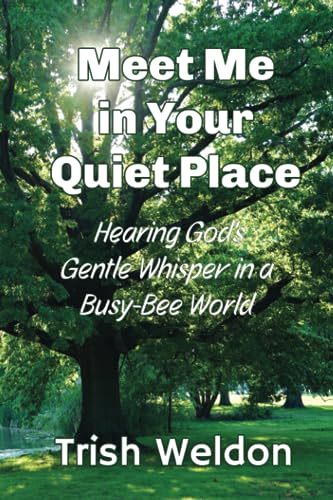 Stock image for Meet Me in Your Quiet Place: Hearing God's Gentle Whisper in a Busy Bee World for sale by GF Books, Inc.