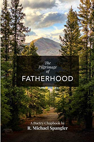 Stock image for The Pilgrimage of Fatherhood for sale by Lucky's Textbooks