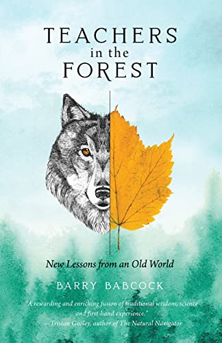 Stock image for Teachers in the Forest: New Lessons from an Old World for sale by HPB-Red