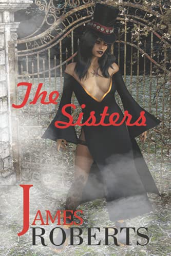 9781736123447: The Sisters: Something Is Sinister At That Place