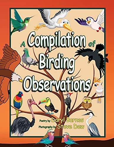 9781736228050: A Compilation of Birding Observations