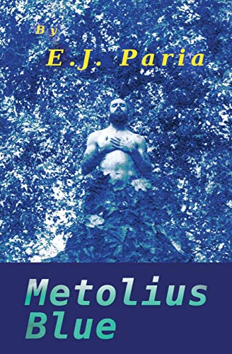 Stock image for Metolius Blue for sale by Lucky's Textbooks