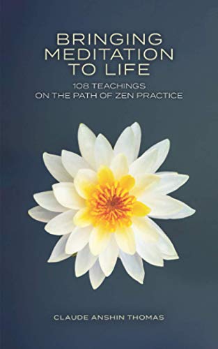 Imagen de archivo de Bringing Meditation to Life: 108 Teachings on the Path of Zen Practice a la venta por Goodwill Books