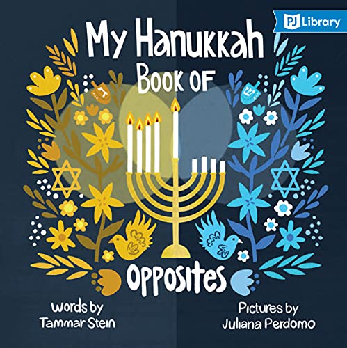Beispielbild fr My Hanukkah Book of Opposites zum Verkauf von Better World Books