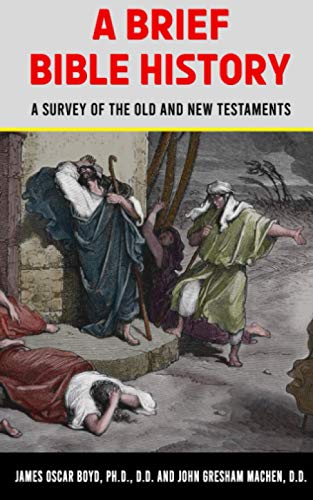 Imagen de archivo de A BRIEF BIBLE HISTORY: A SURVEY OF THE OLD AND NEW TESTAMENTS a la venta por GF Books, Inc.