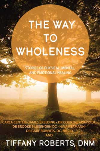 Stock image for Way to Wholeness for sale by PBShop.store US